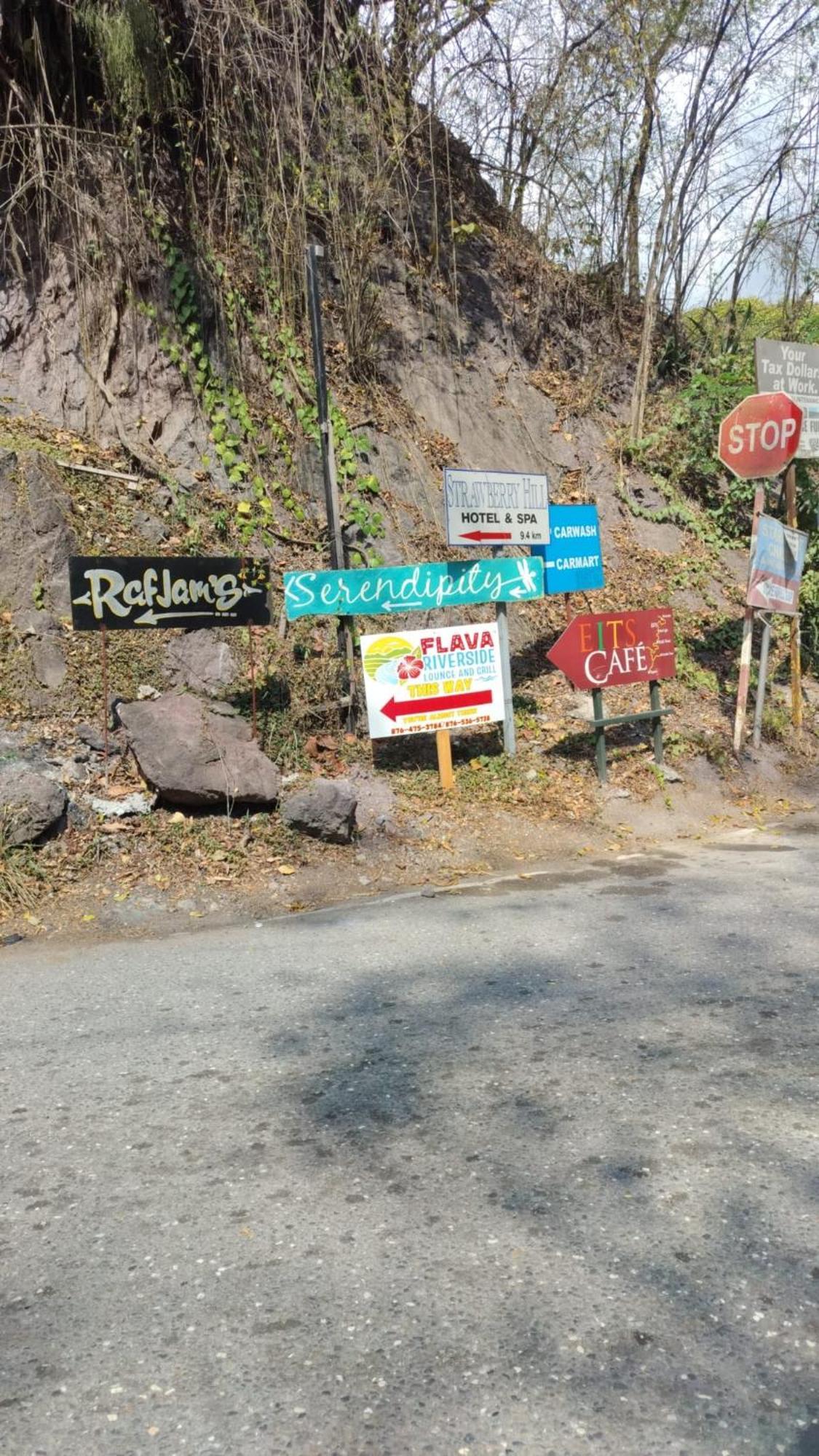 Whispering Waters Nature'S Cottage คิงส์ตัน ภายนอก รูปภาพ